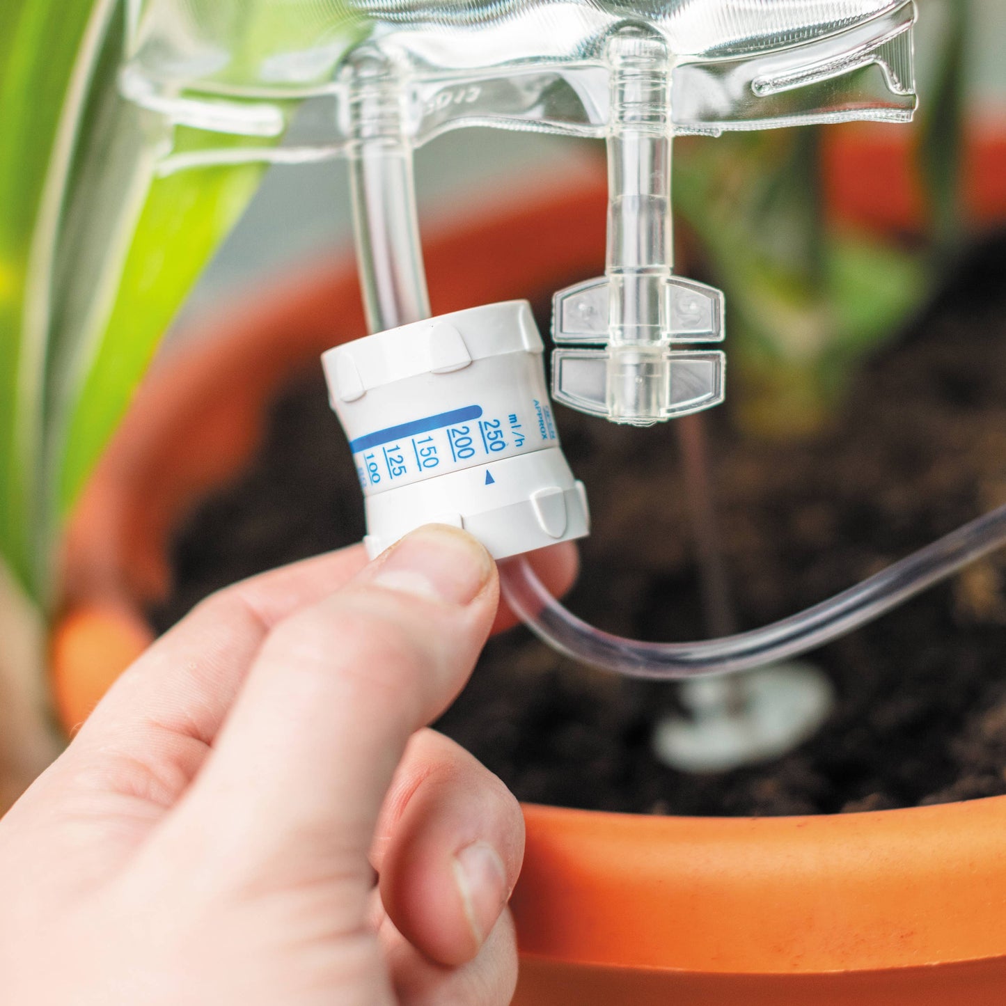 Life Support Houseplant Device