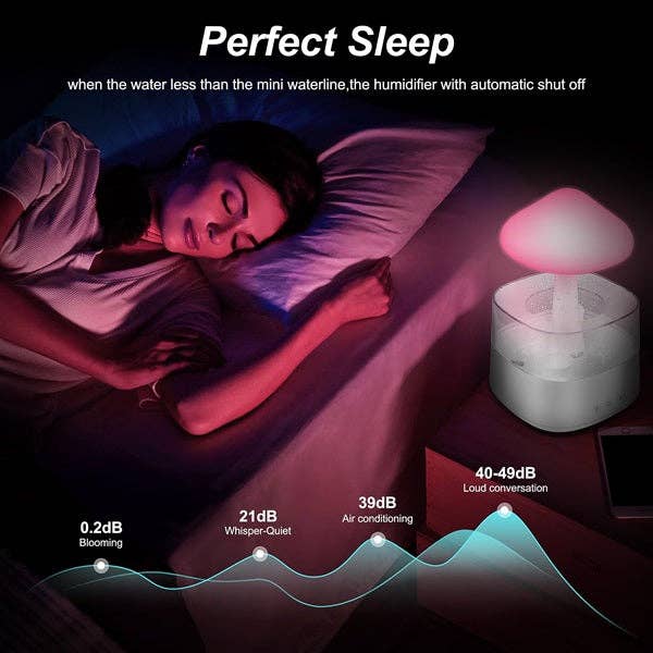 Rain Cloud Humidifier