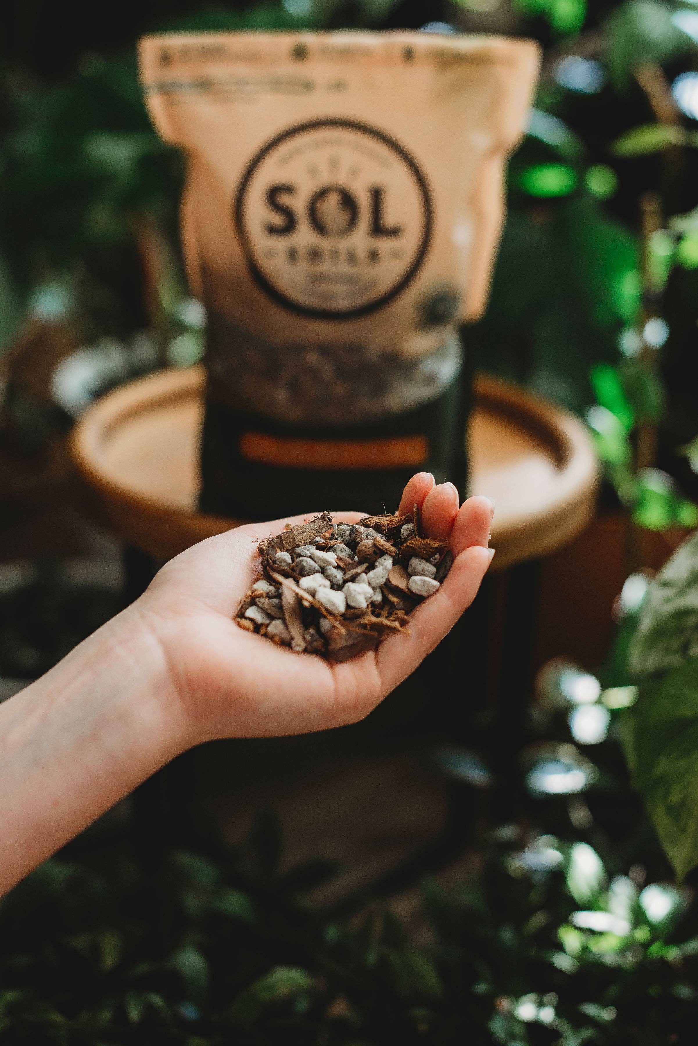 Soil (1Qt) Cactus Gritty Mix