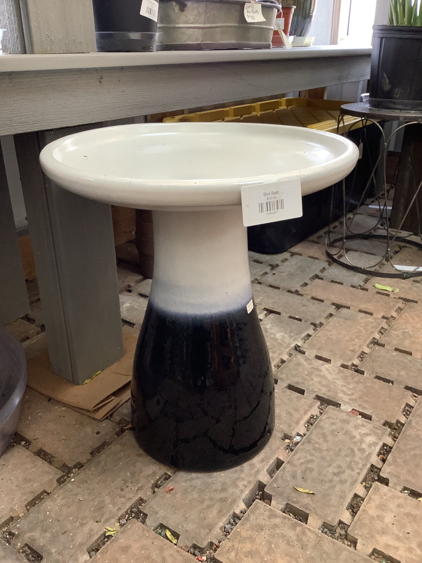 Bird Bath