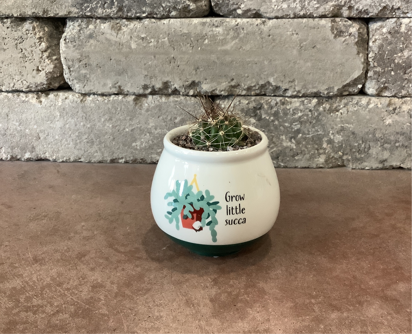 4x4 Cactus Puns