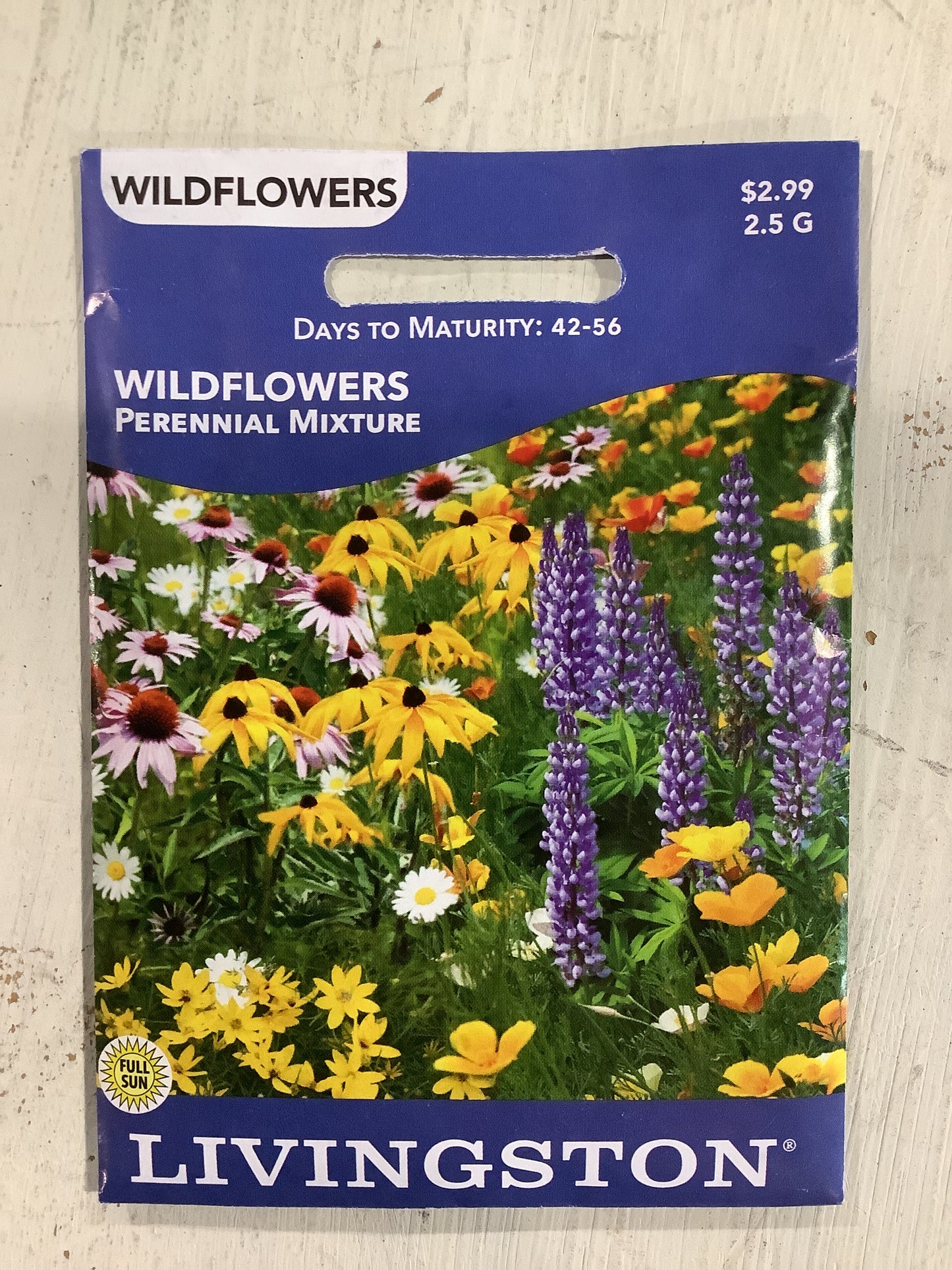 Wildflower Perennial