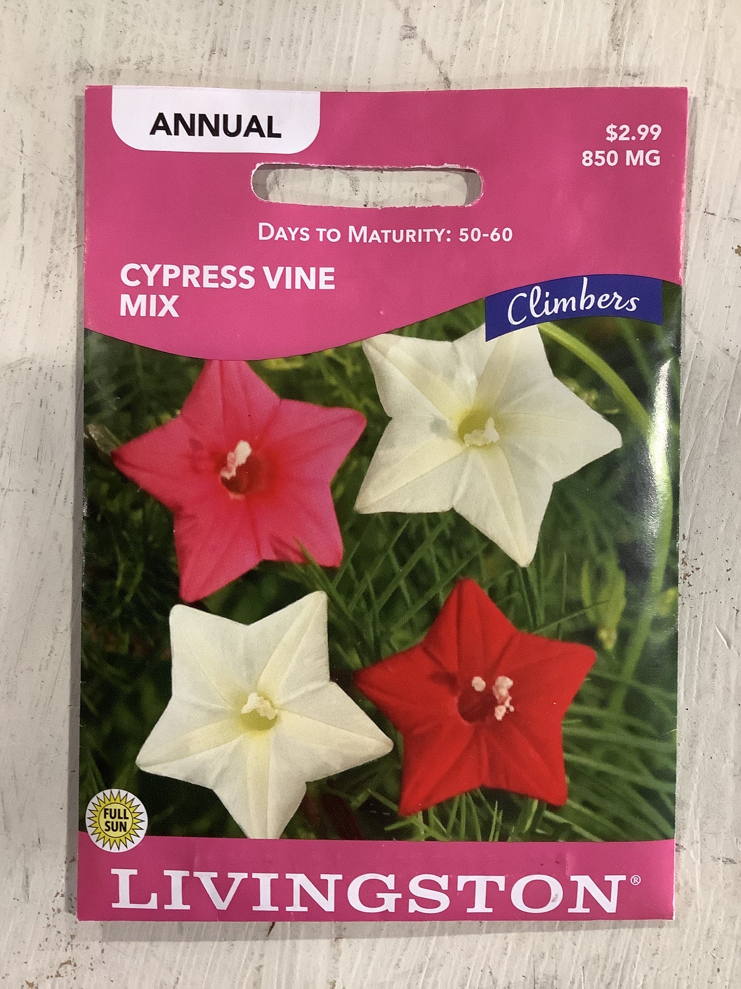 Cypress Vine