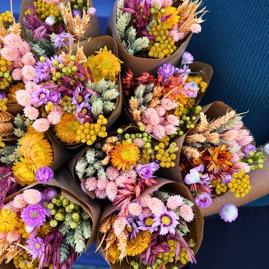 Sunny Delight Dried Flowers