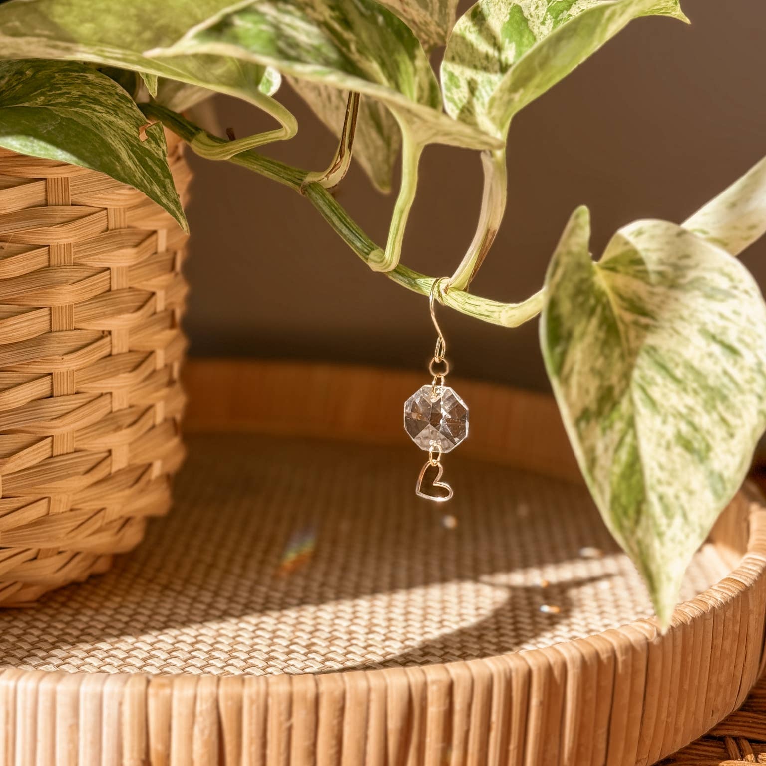 Plant Charms