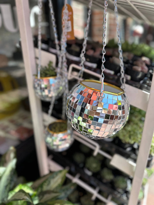 4" Disco Ball Planter