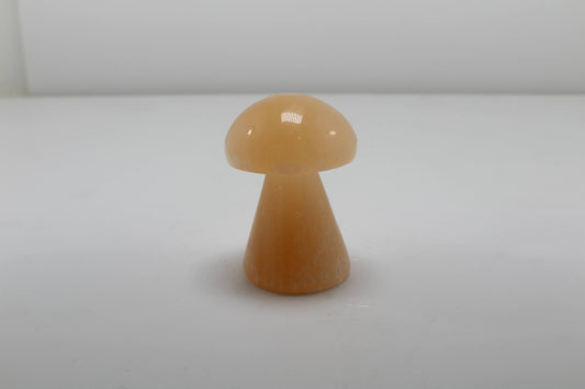 Selenite Mushroom