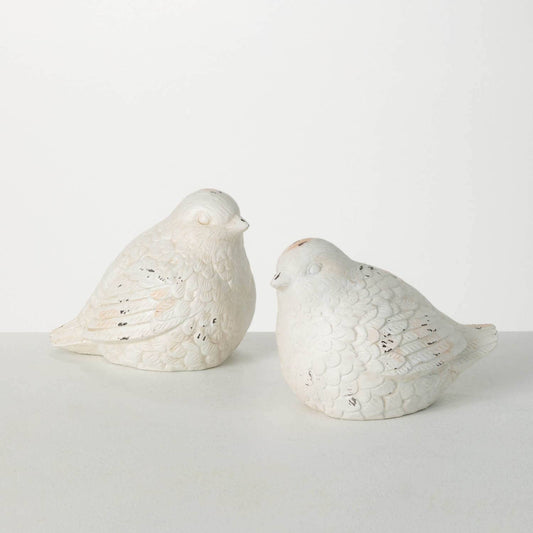 Whitewash Bird