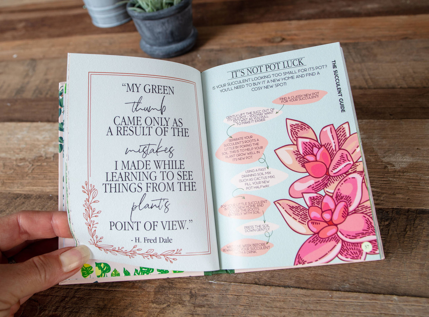 Houseplant Survival Guide Book - Tips and Tricks