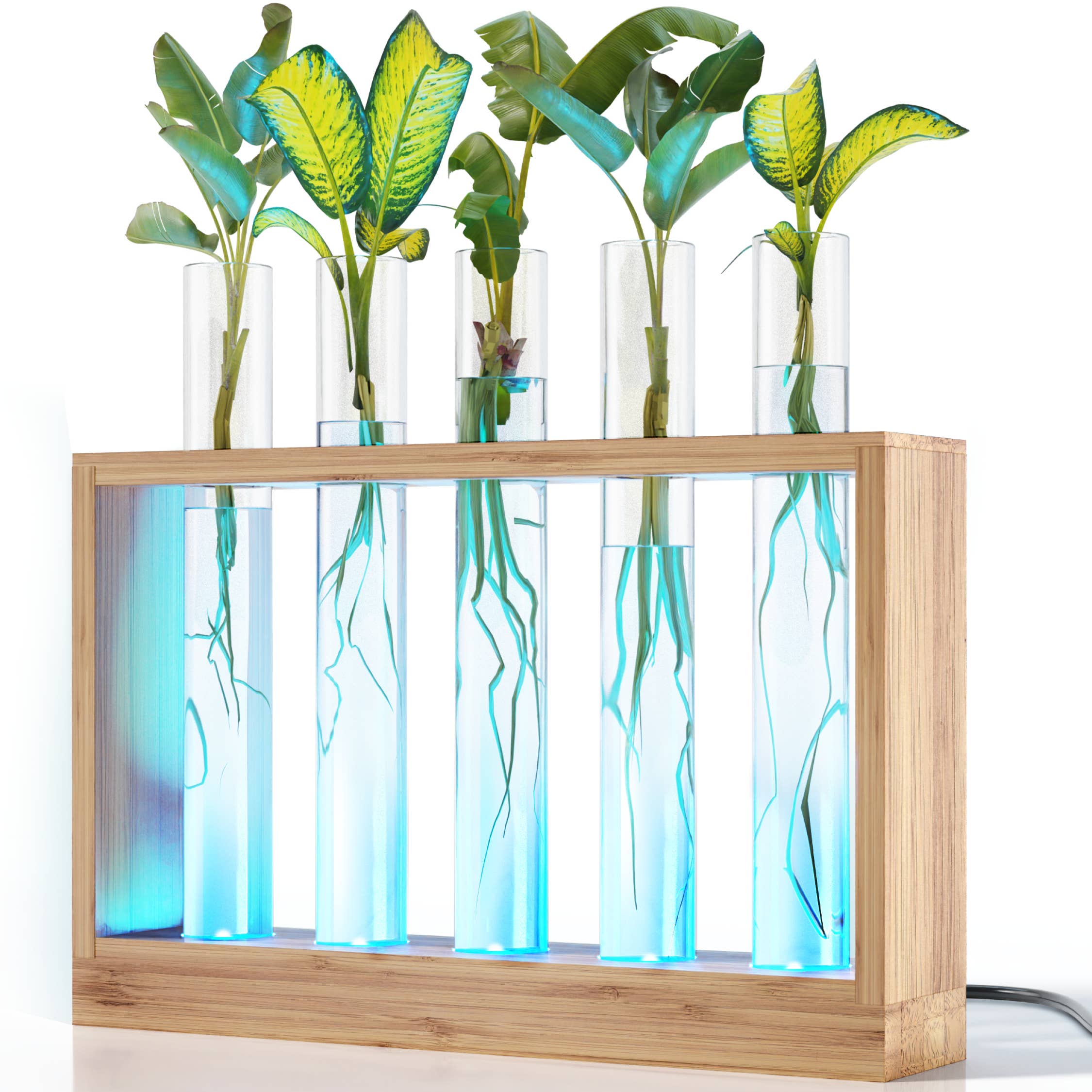 Light Up Vial Propagation Station