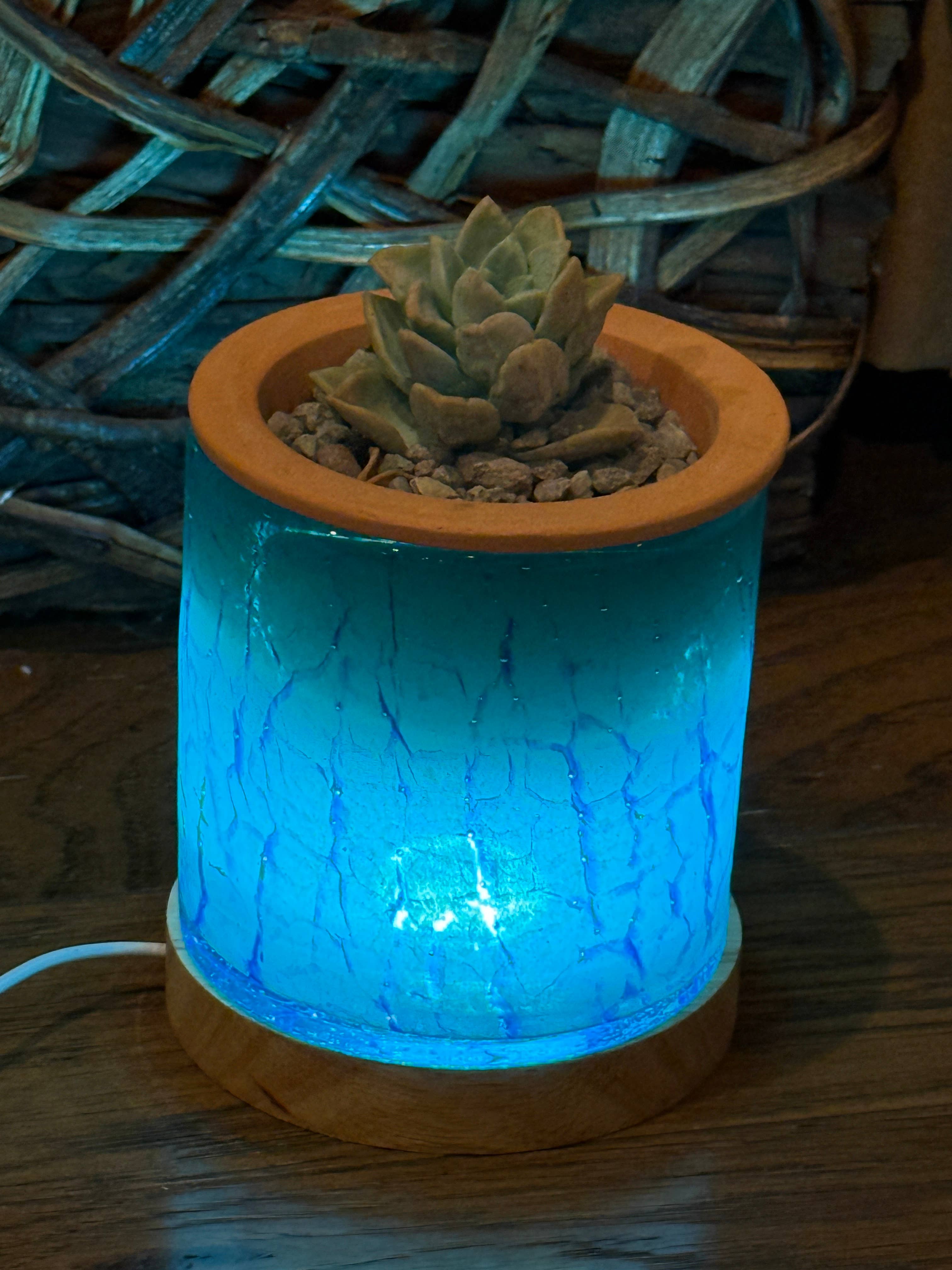 Self-Watering LED Planter