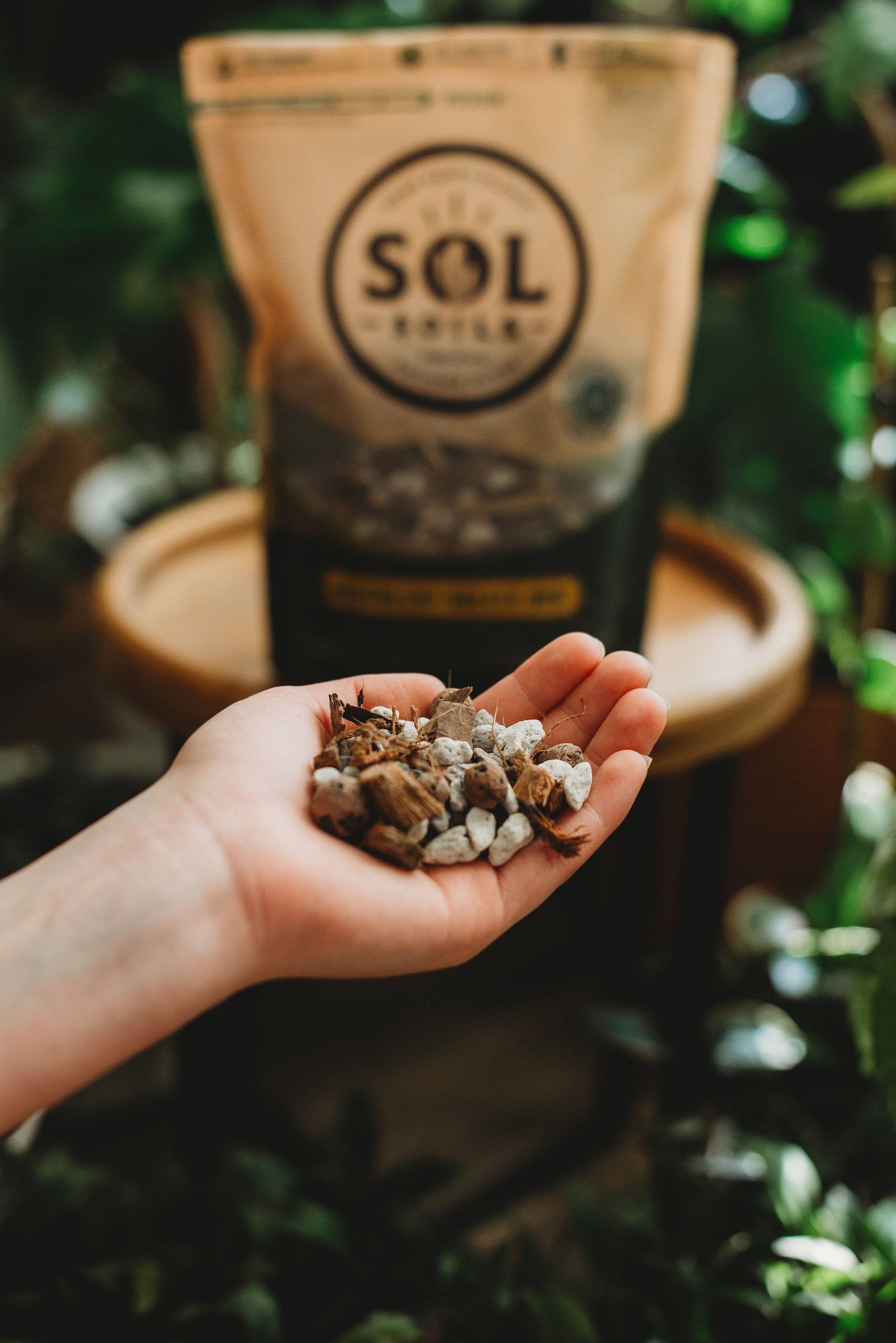 Soil (2Qt) Succulent Gritty Mix