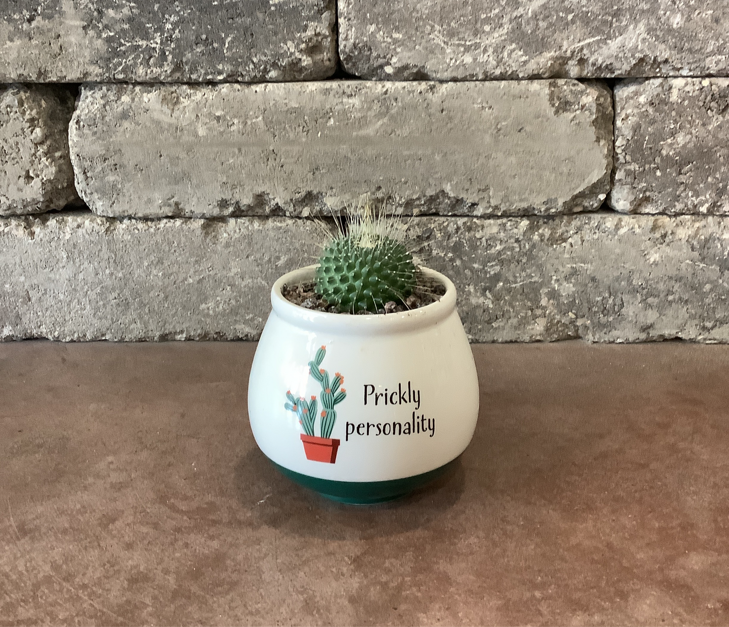 4x4 Cactus Puns