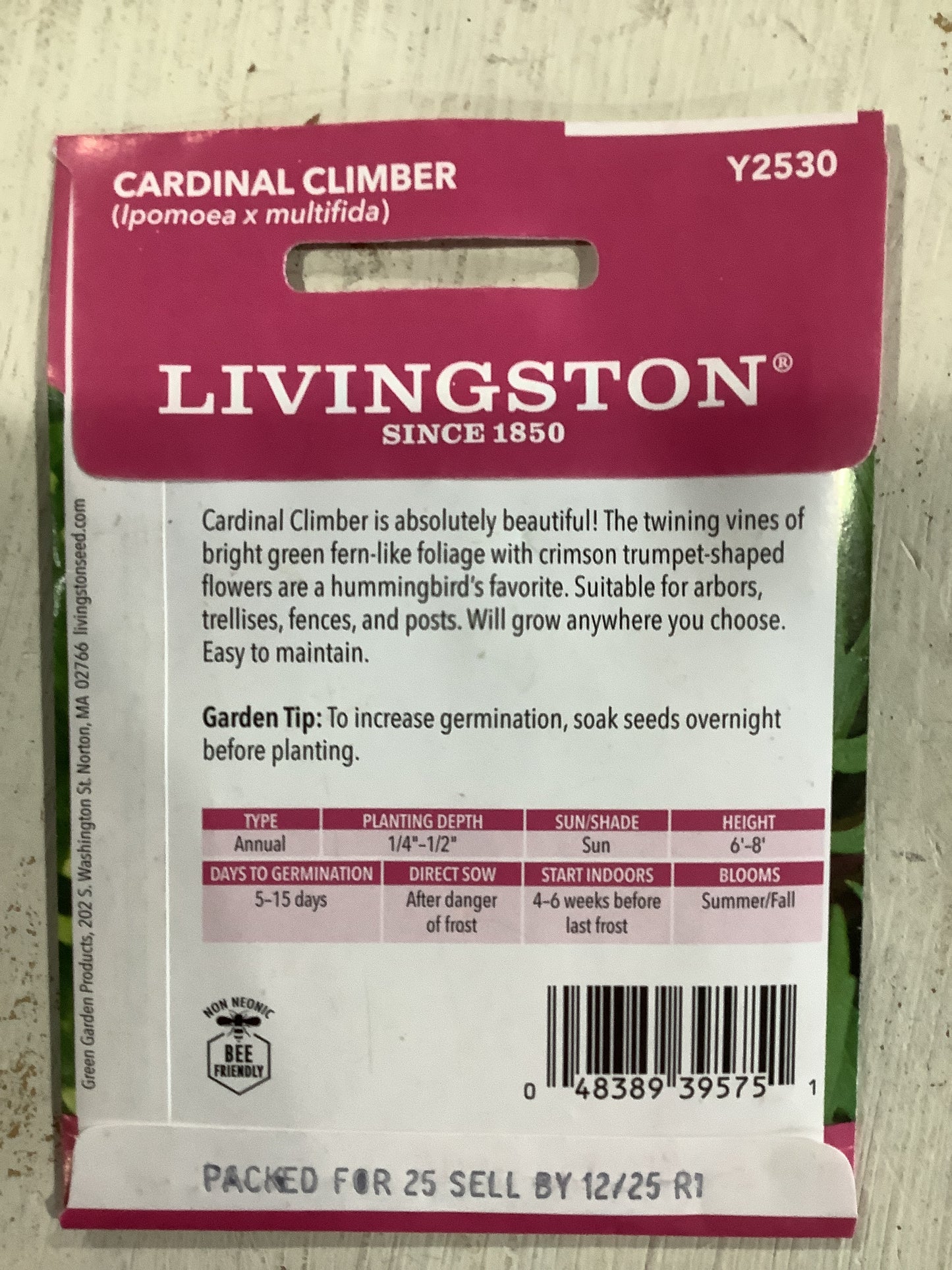 Cardinal Climber