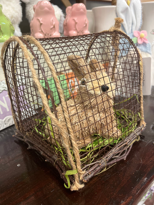 Cage Bunny