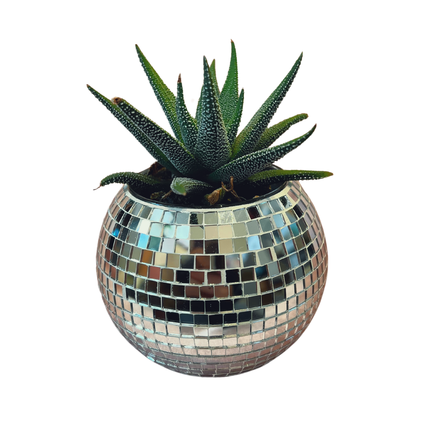 Disco Ball Planter 2.0
