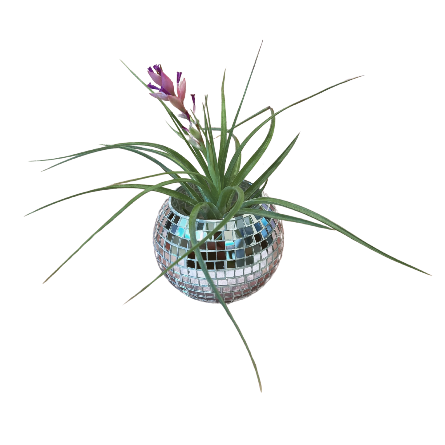 Disco Ball Planter 2.0