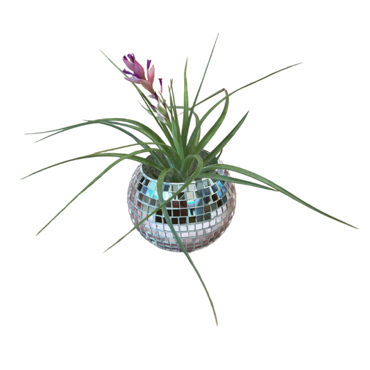 Disco Ball Planter 2.0