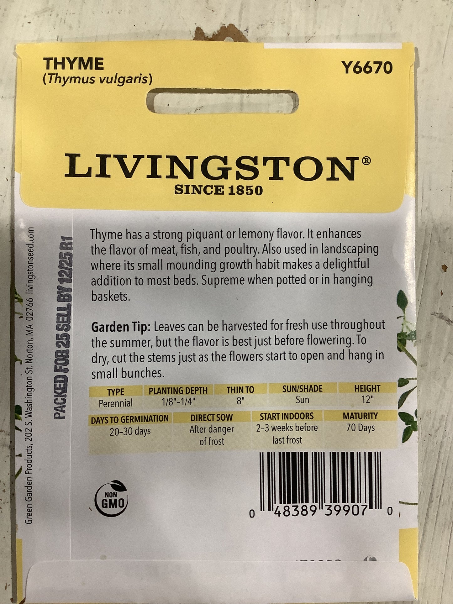 Thyme Seeds