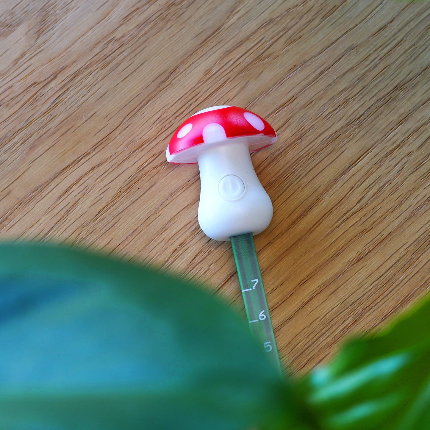 Mushroom Moisture Meter