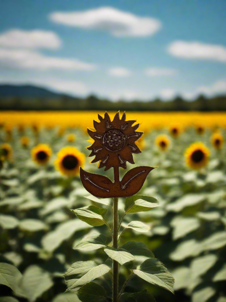 Sunflower Magnet