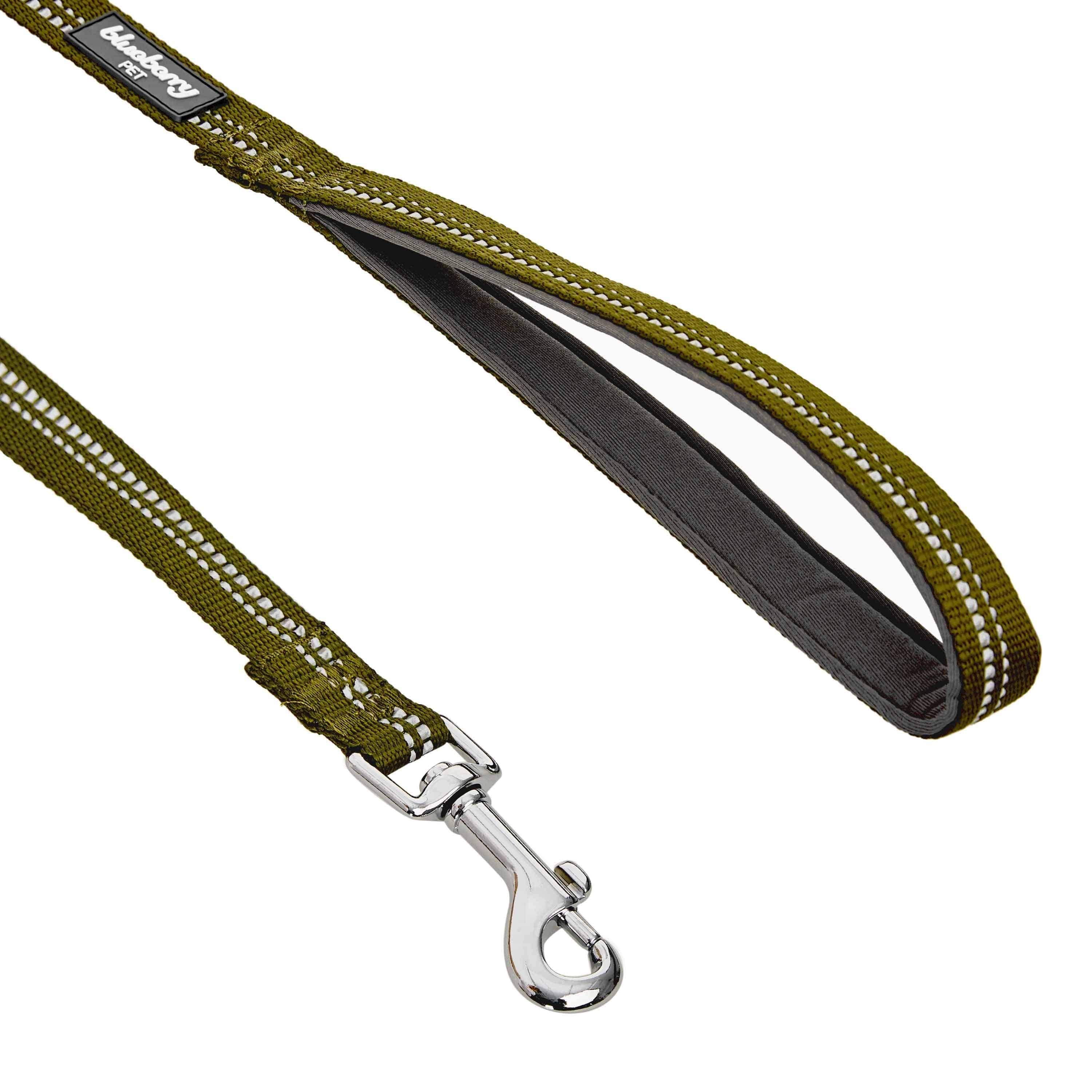 Reflective Dog Leash
