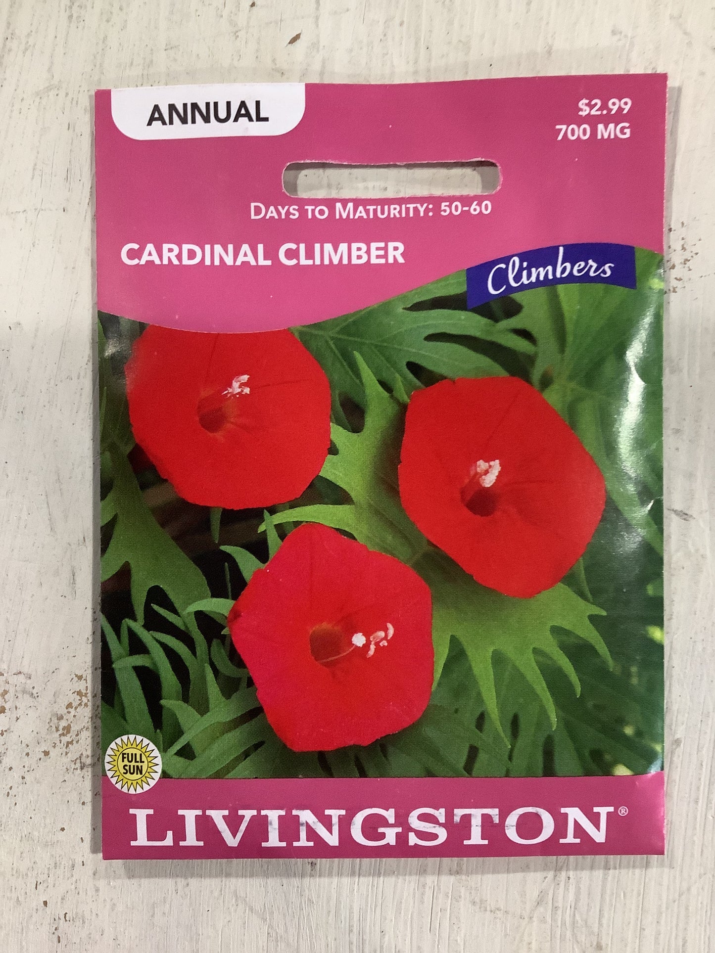 Cardinal Climber