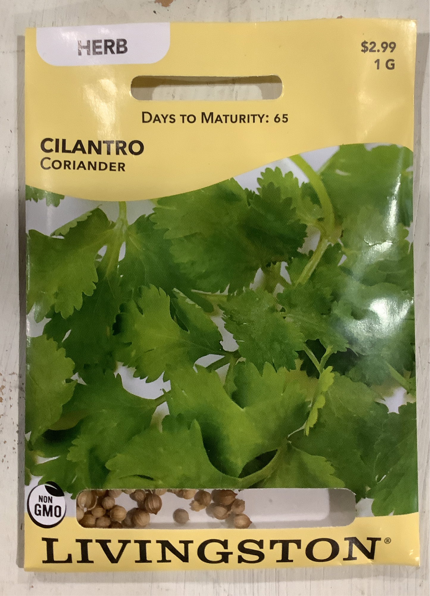 Cilantro Seeds