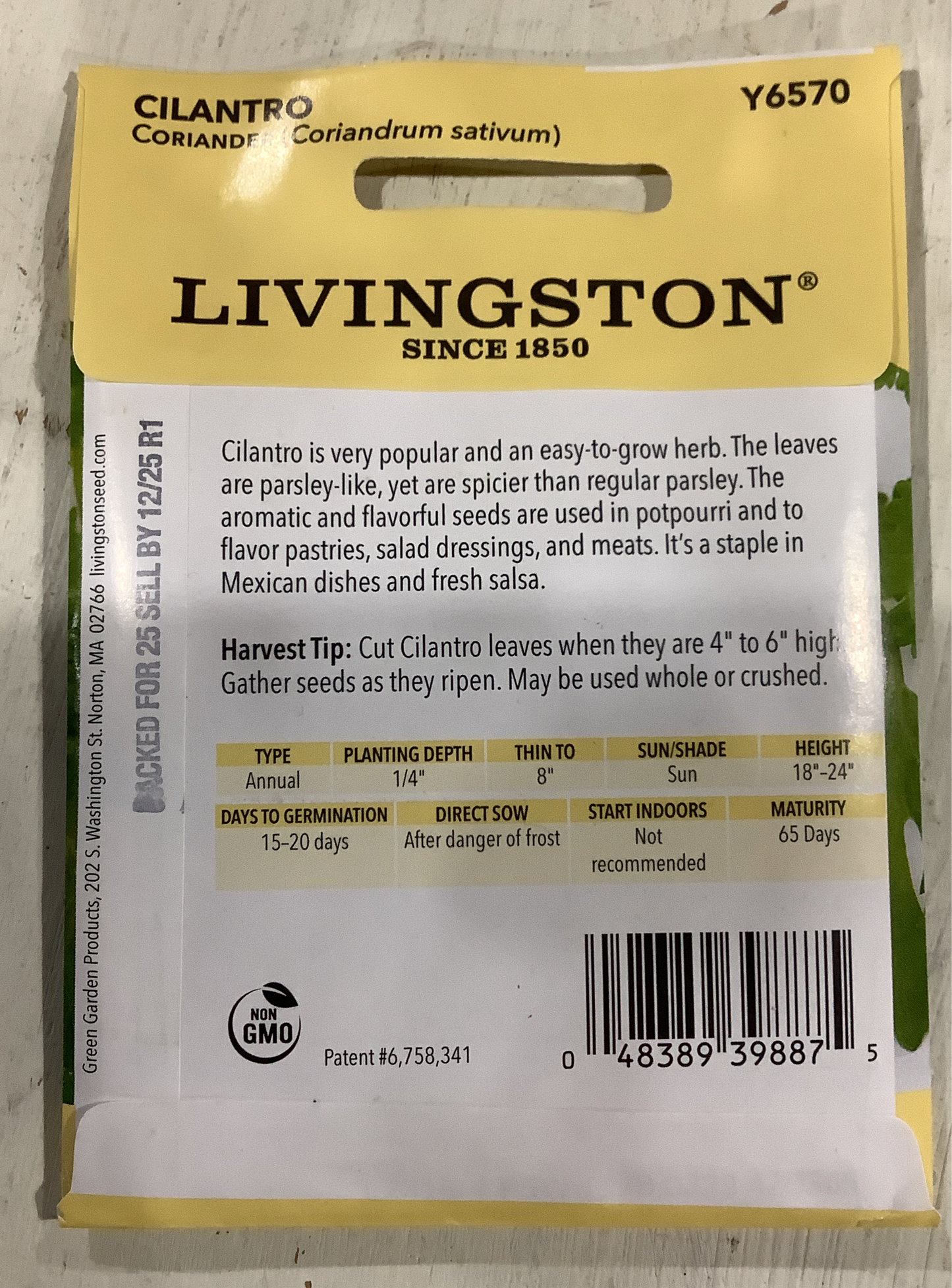 Cilantro Seeds