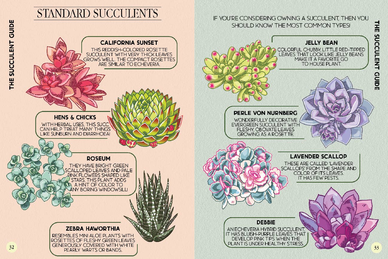 Houseplant Survival Guide Book - Tips and Tricks