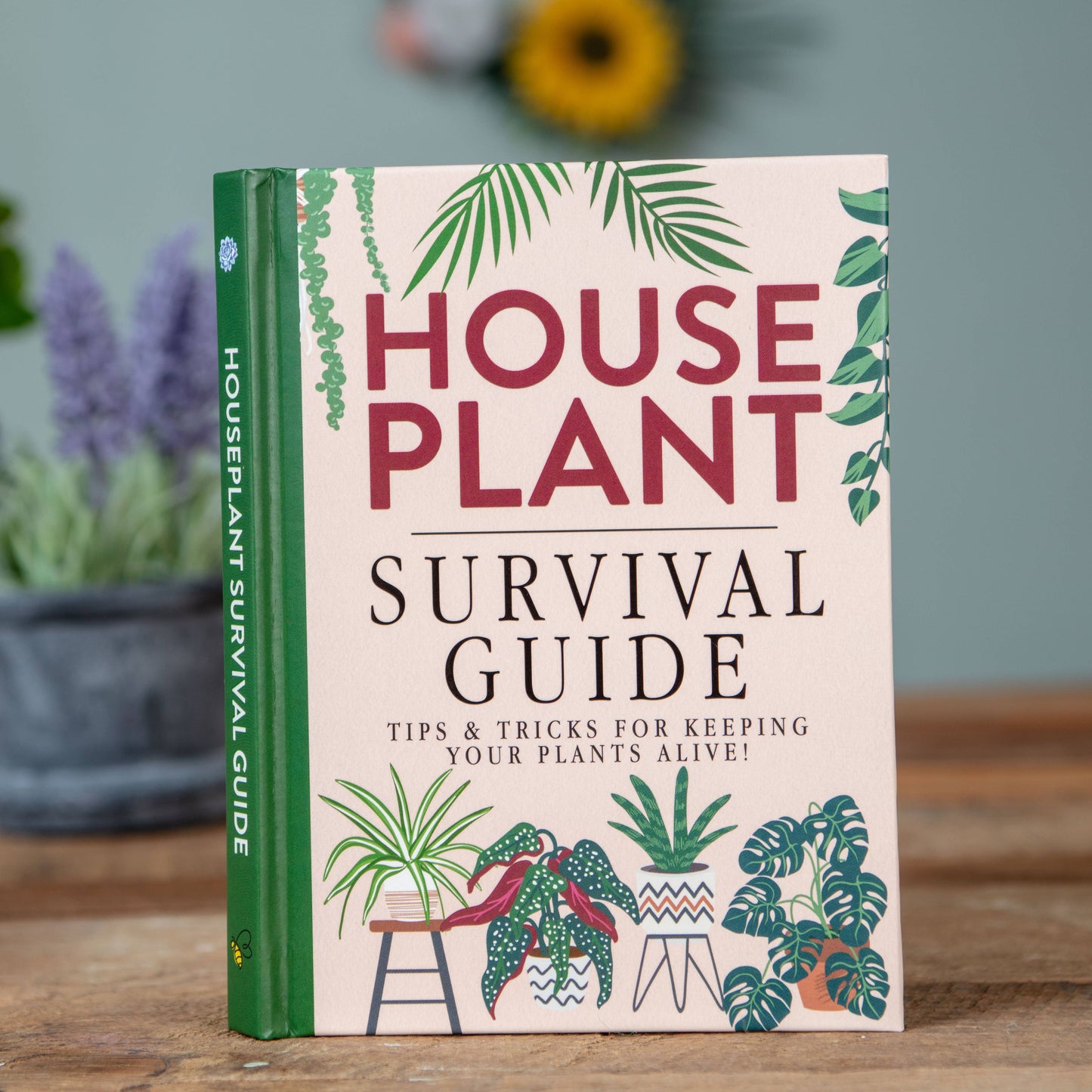 Houseplant Survival Guide Book - Tips and Tricks