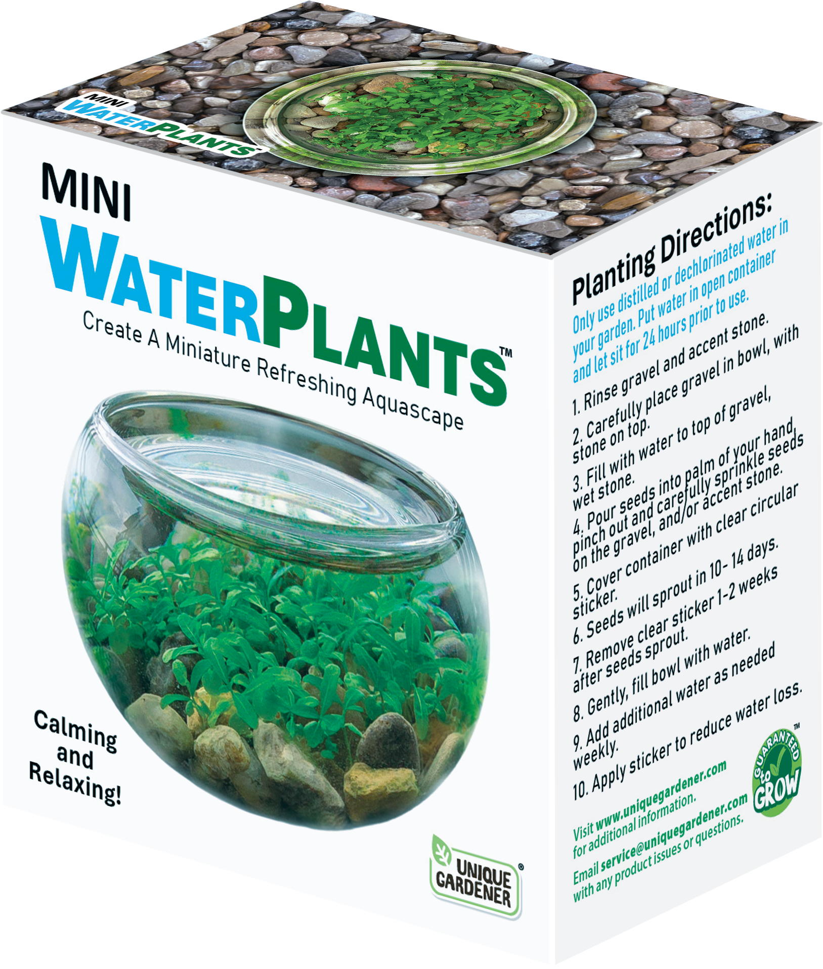 Mini Water Plant Kit