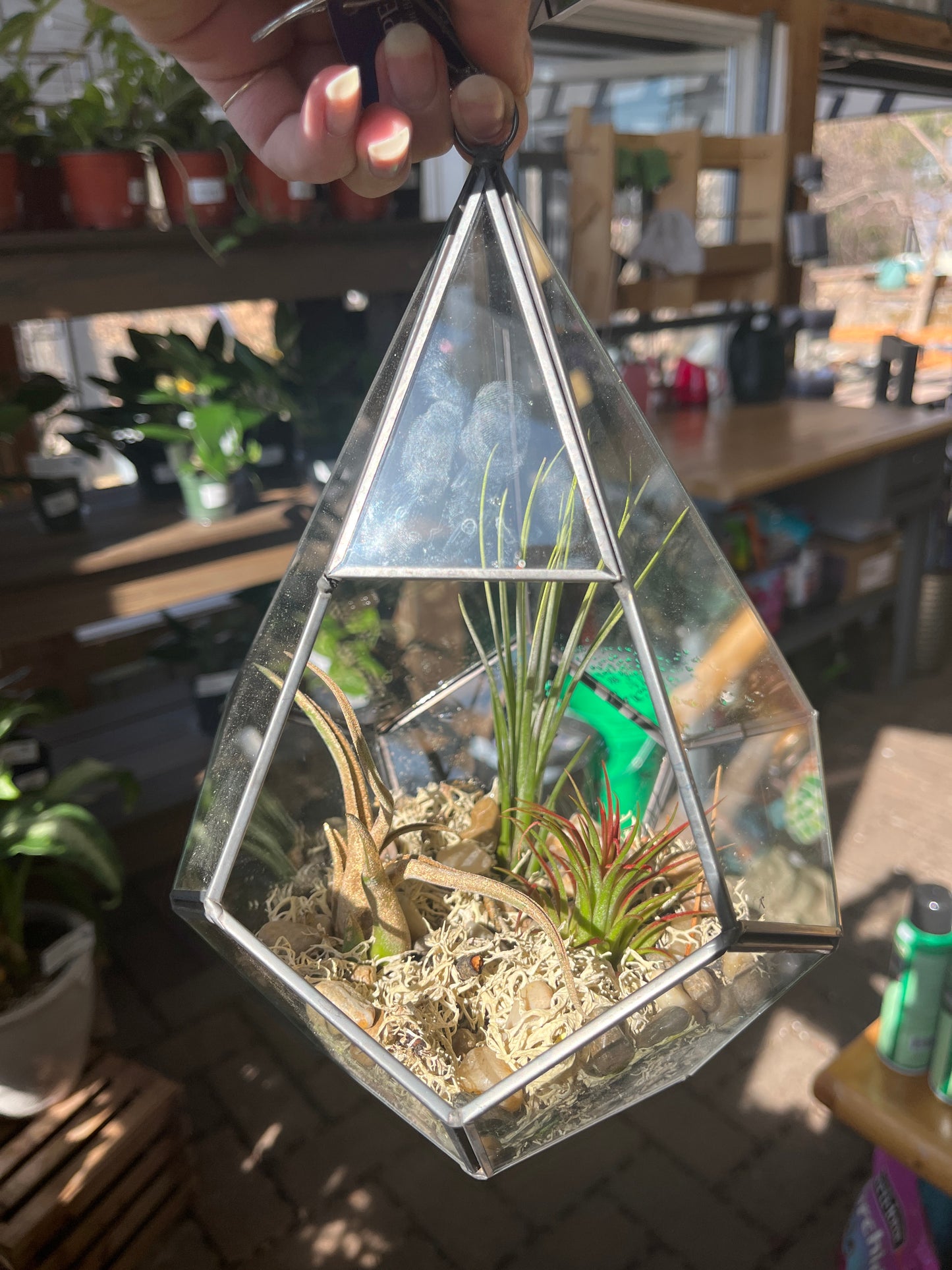 Glass Terrarium Teardrop