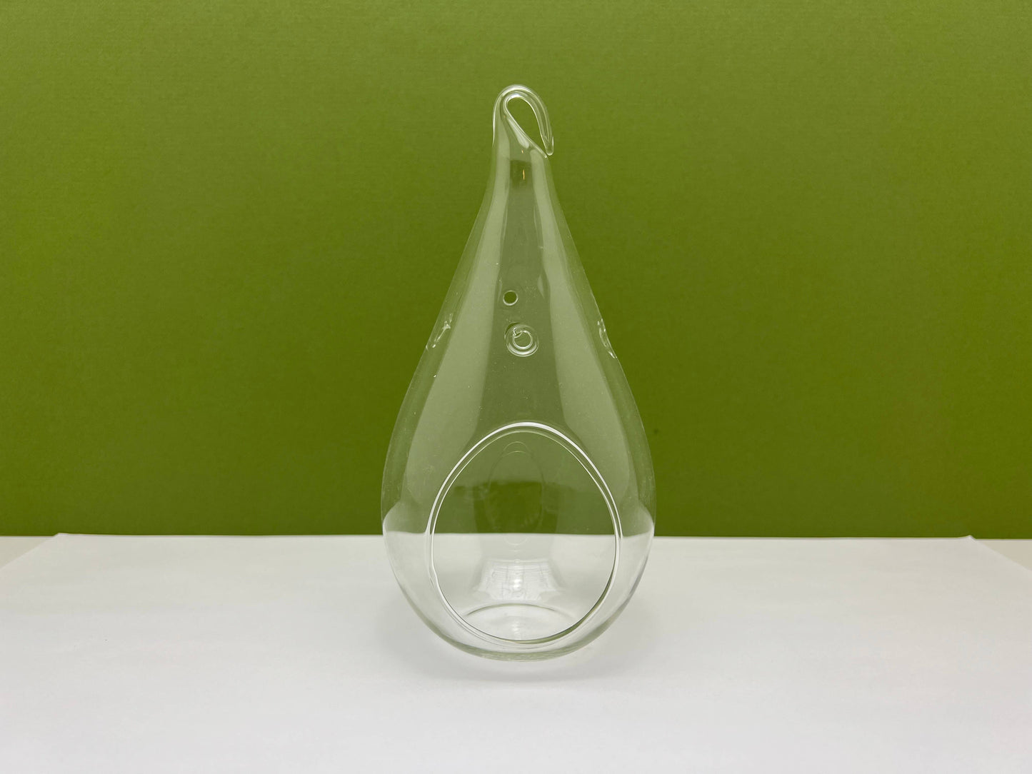 Glass Teardrop Terrarium Planter with Hanging Hook