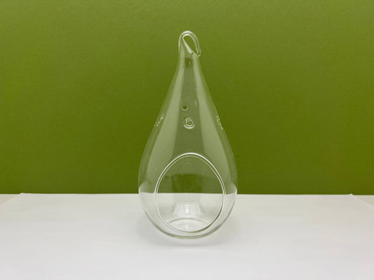 Glass Teardrop Terrarium Planter with Hanging Hook