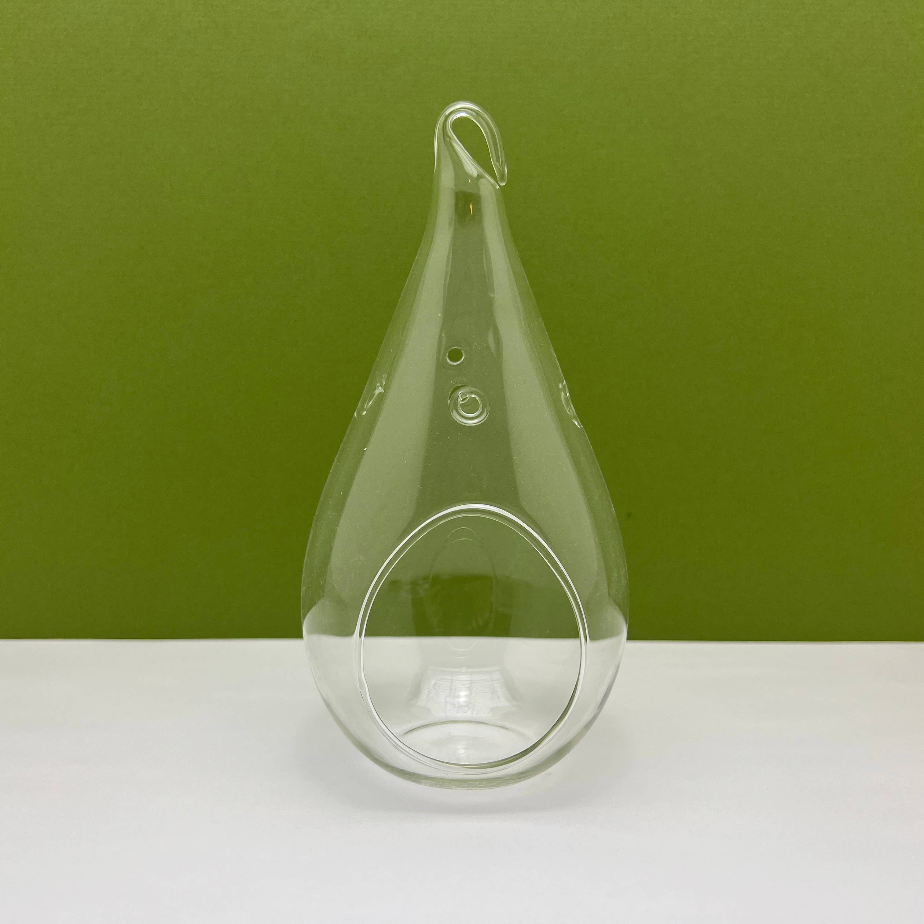 Glass Teardrop Terrarium Planter with Hanging Hook