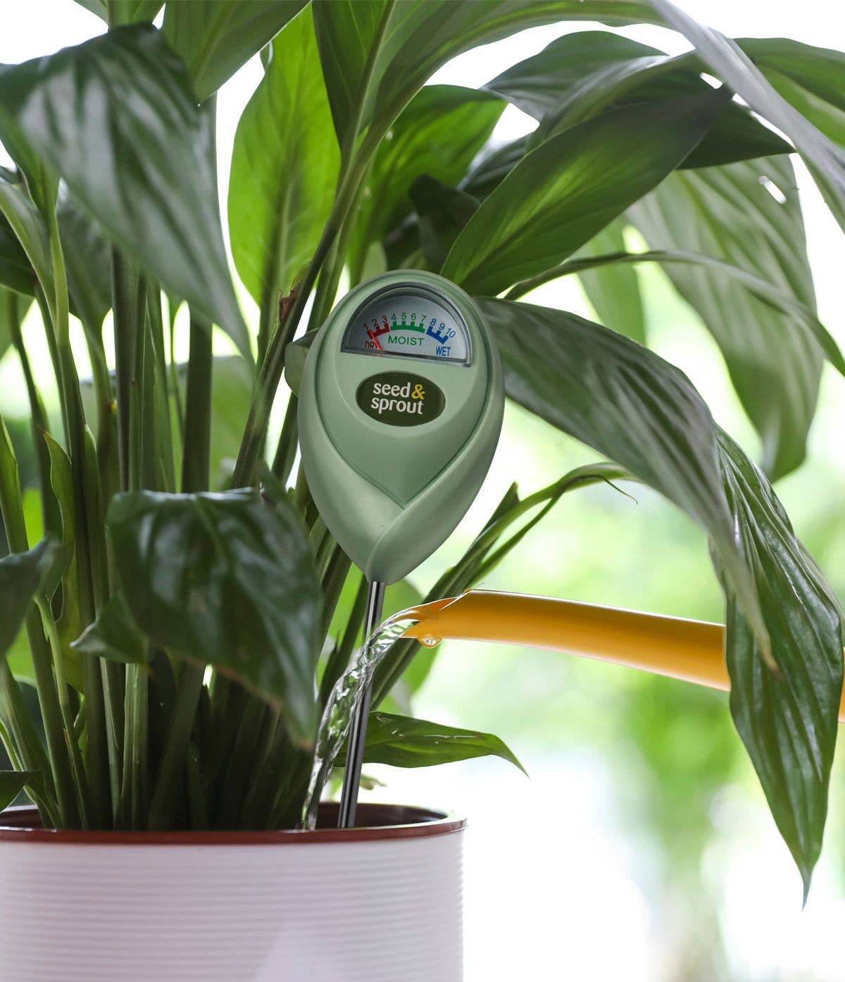 Potted Plant Moisture Meter
