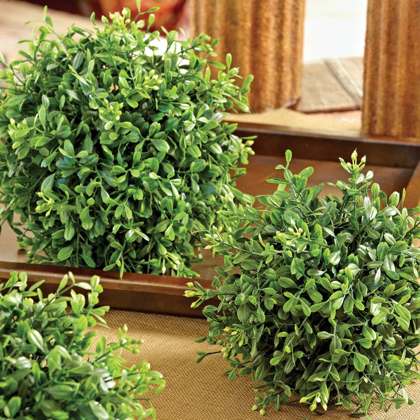Boxwood Spheres