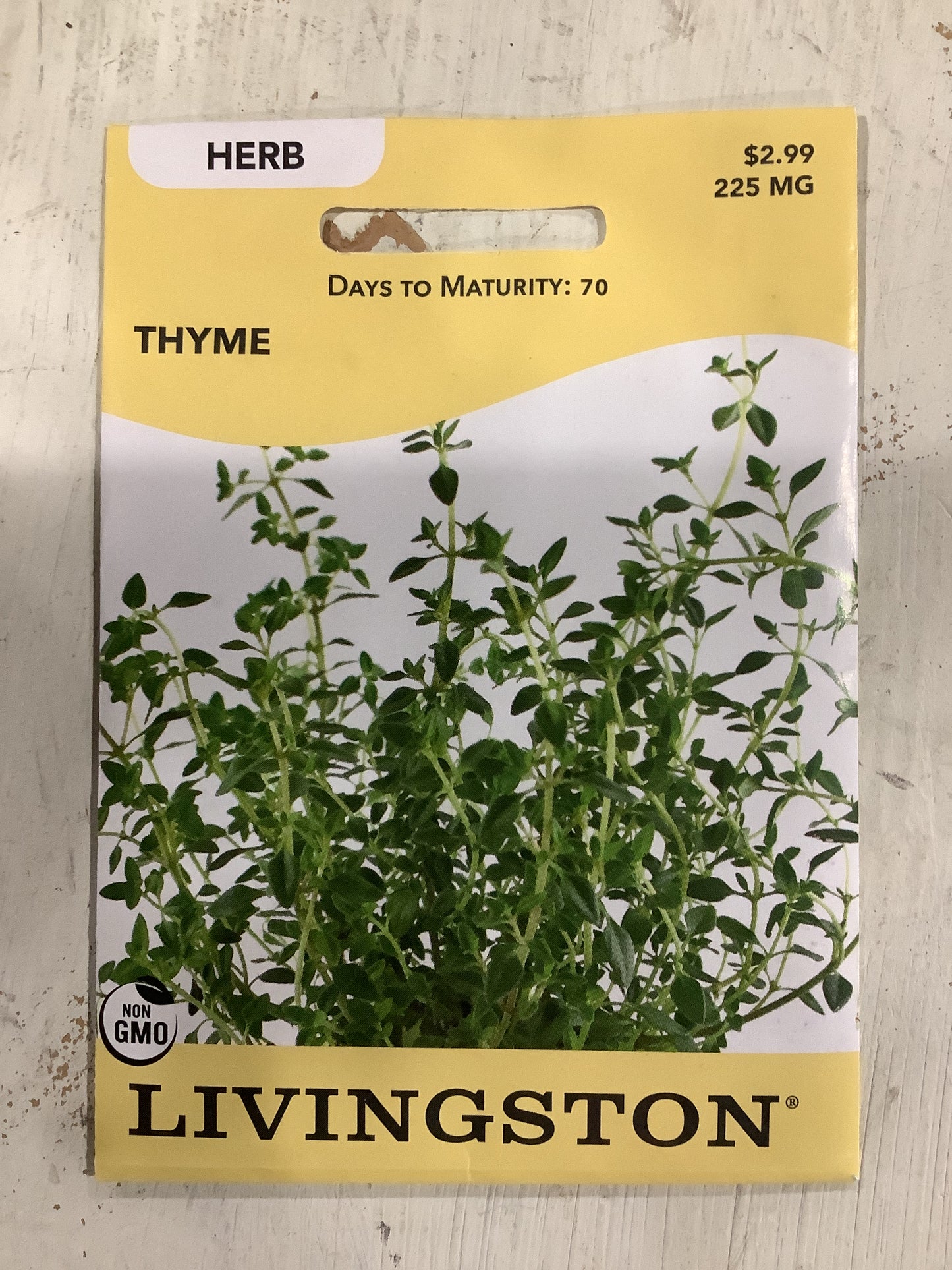 Thyme Seeds