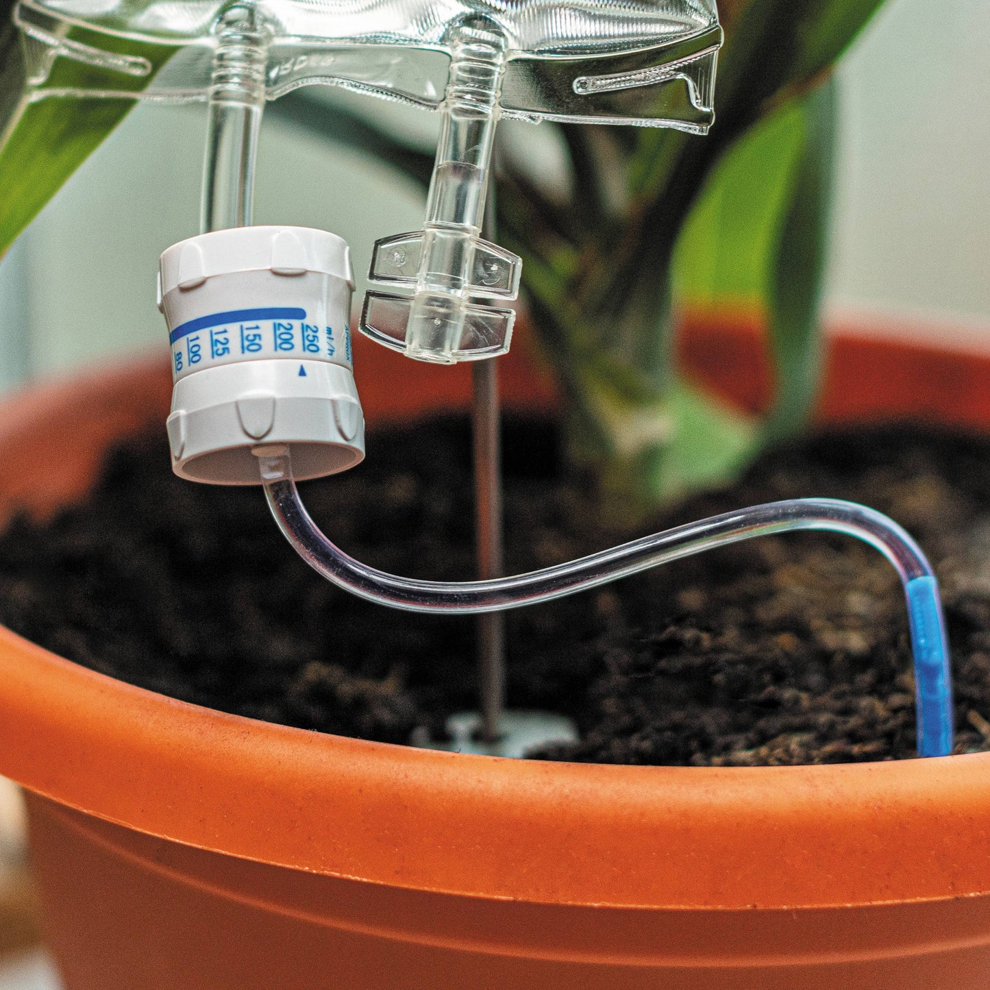 Life Support Houseplant Device