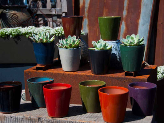 Lilac Pot