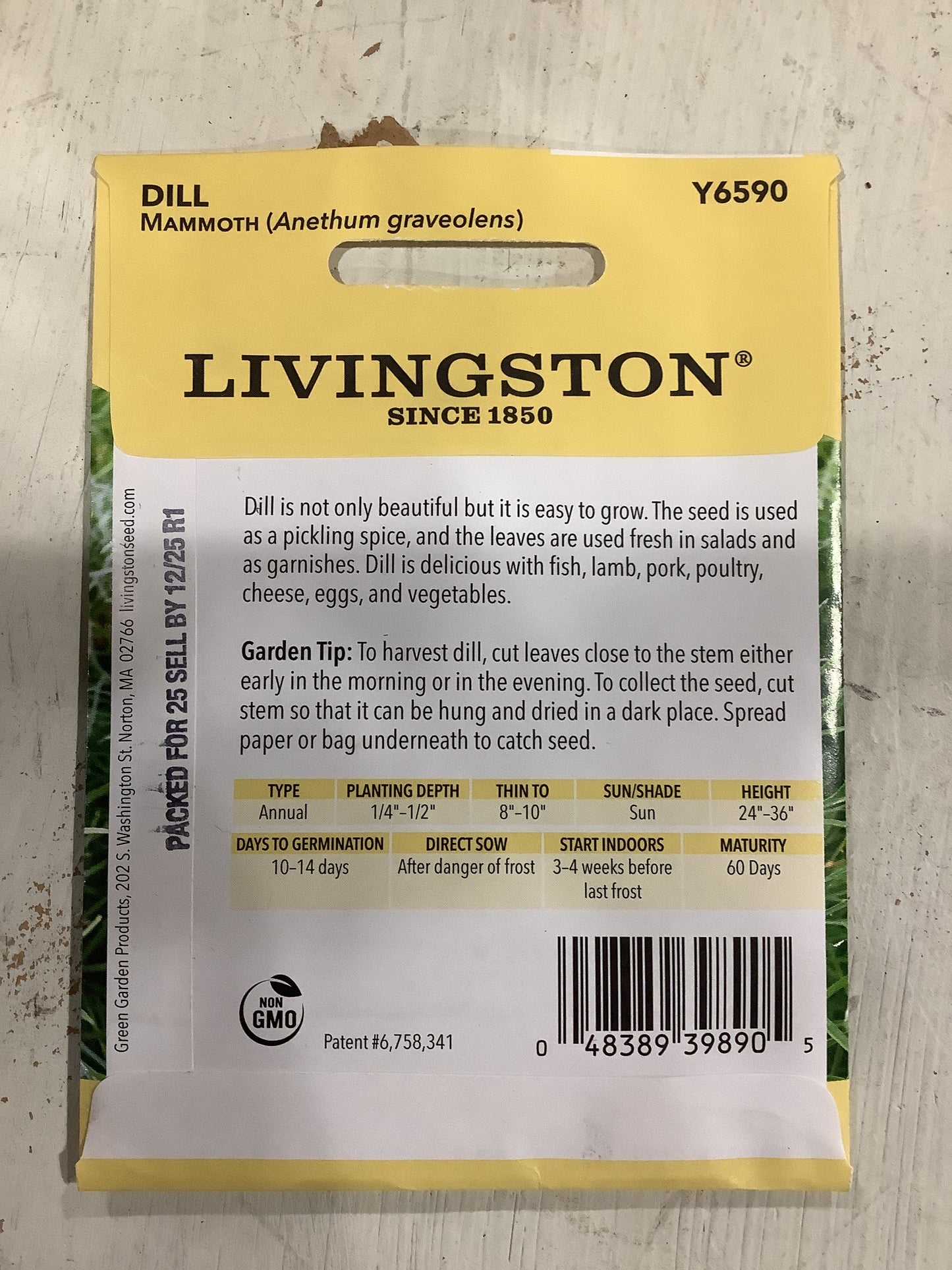Dill-Mammoth Seeds