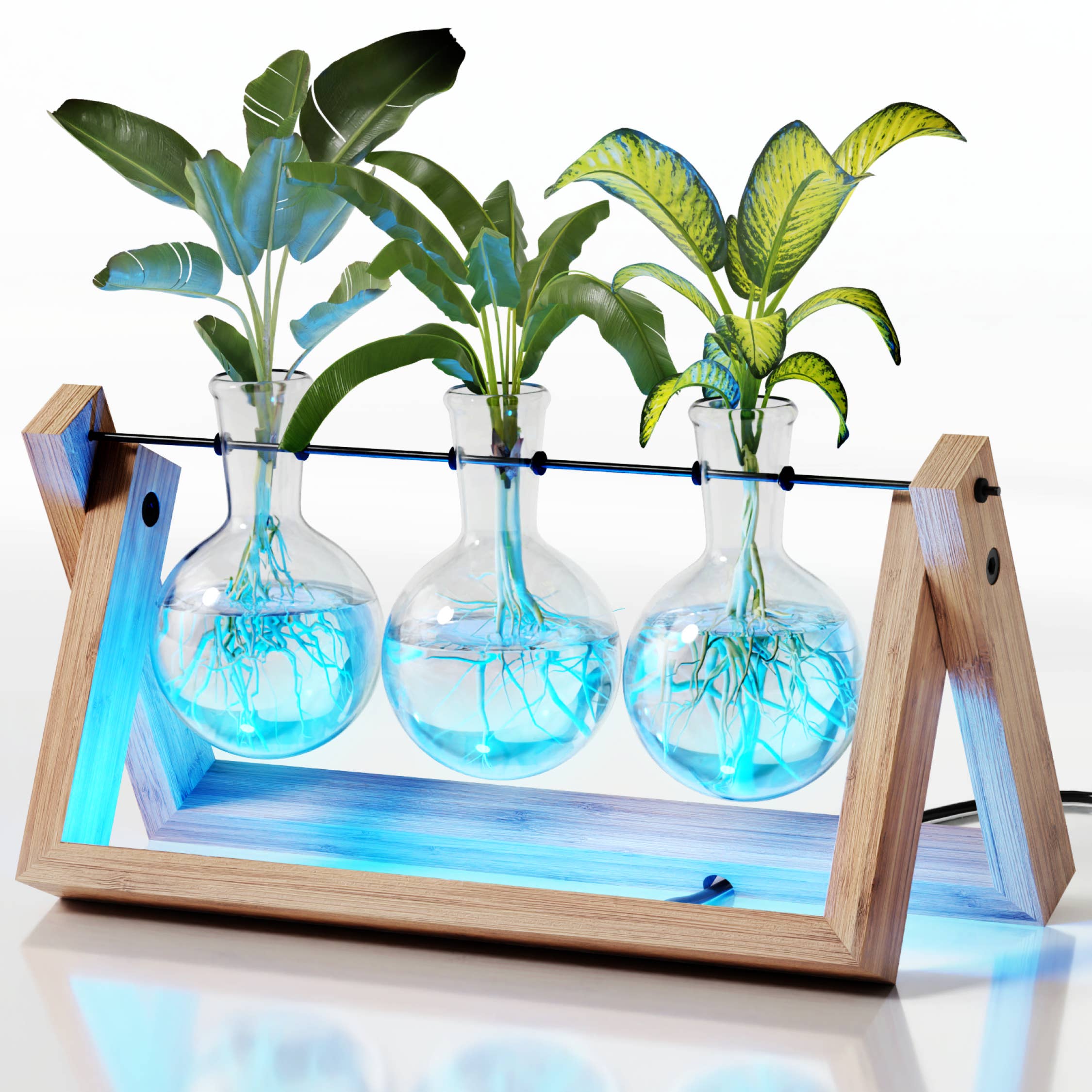 Light Up Propagation Station