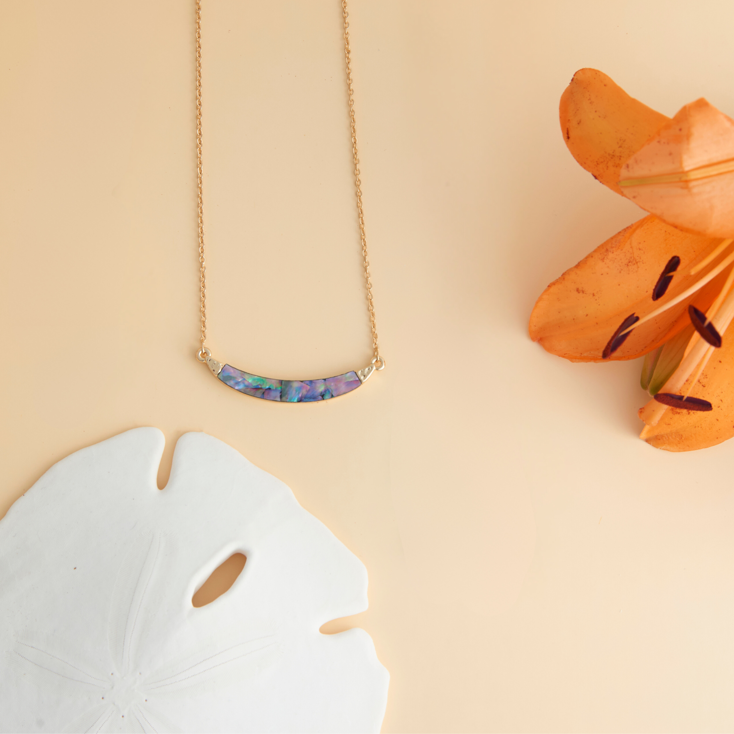 Abalone Necklace