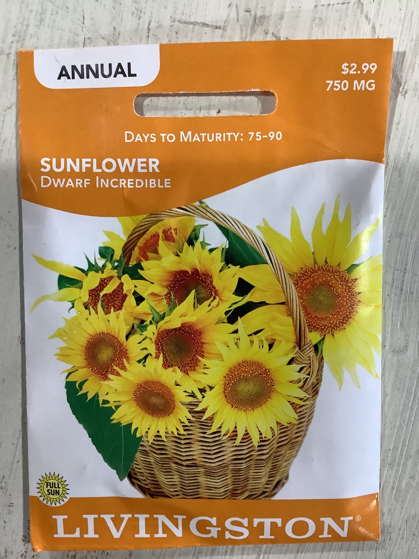 Sunflower-Dwarf Incredible