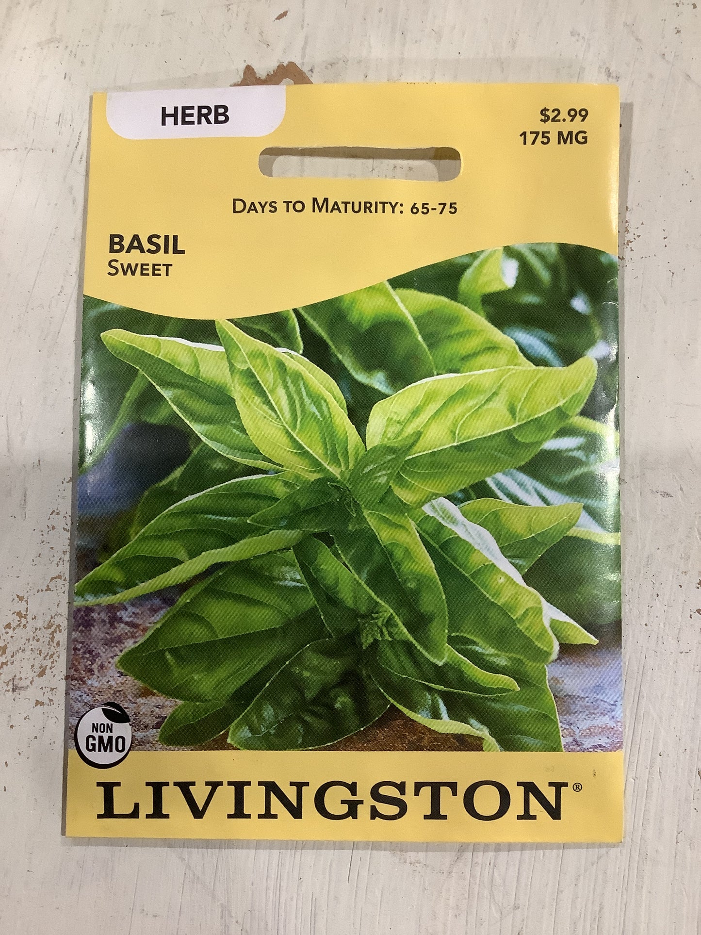 Sweet Basil Seed