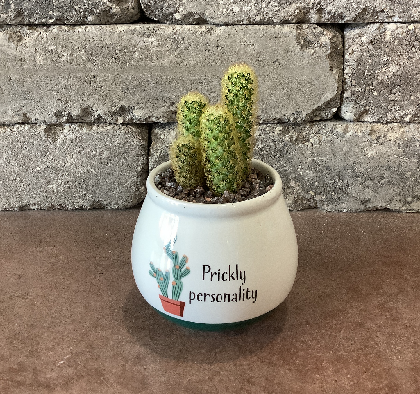 4x4 Cactus Puns