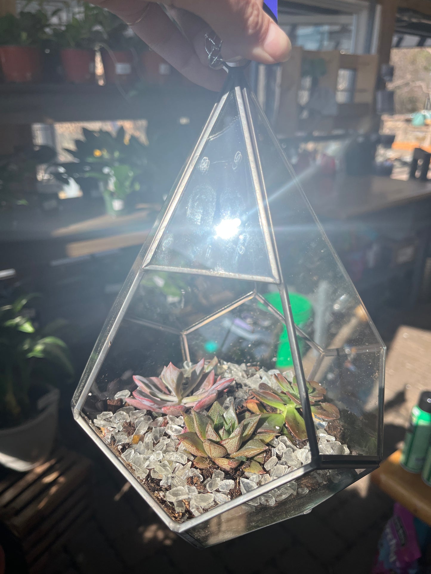 Glass Terrarium Teardrop