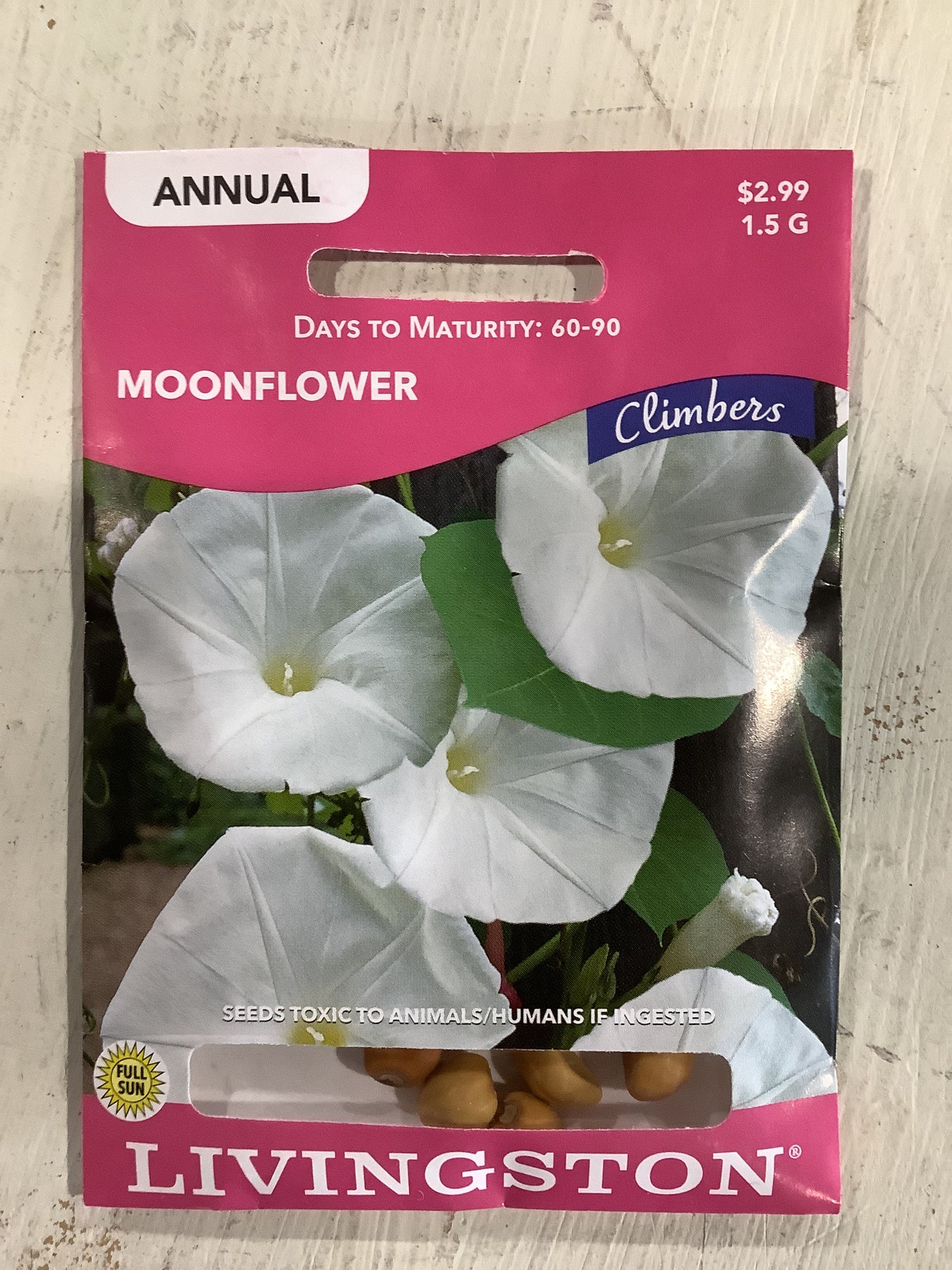 Moonflower