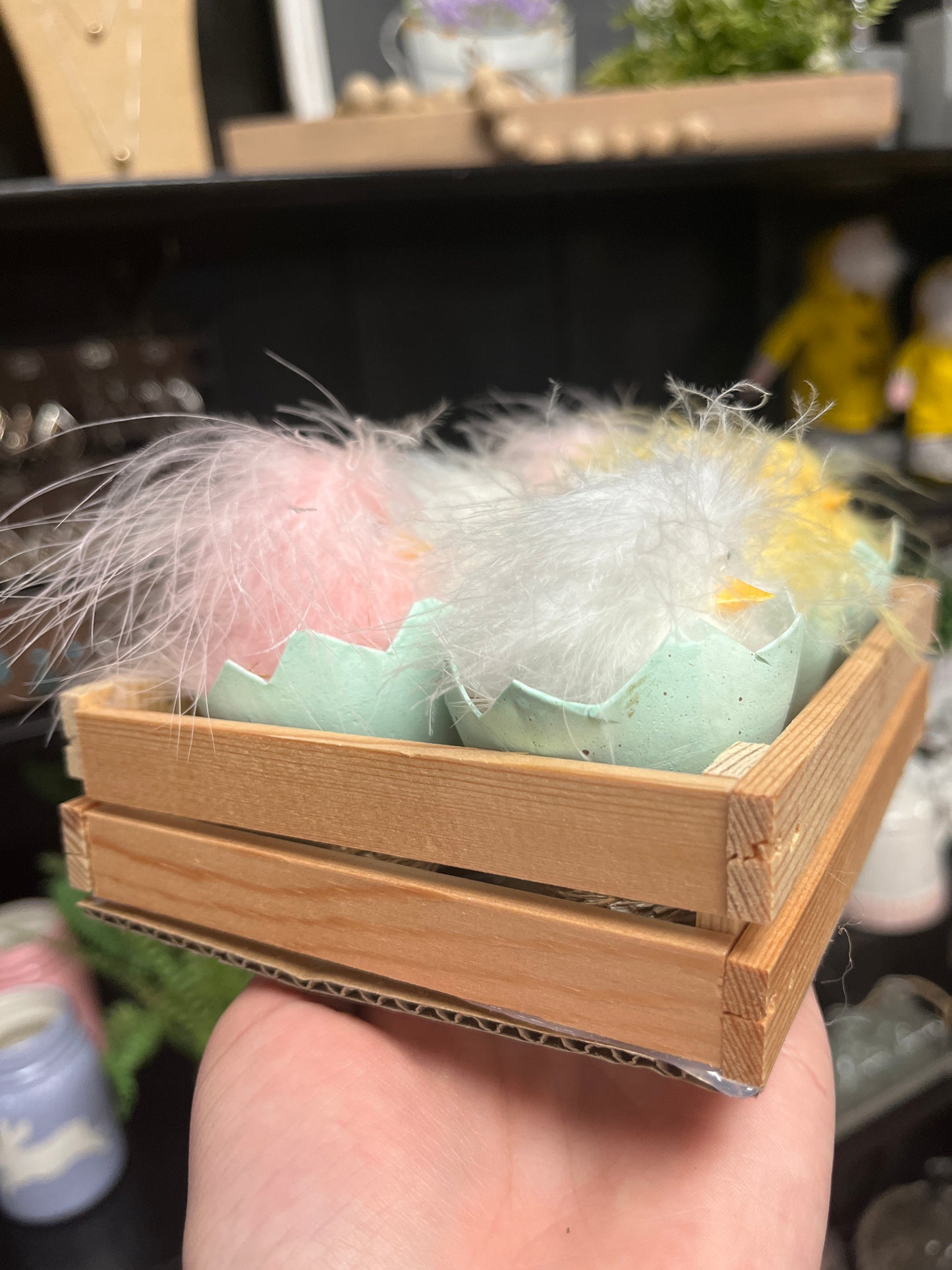 Feathered Hatching Chick Set
